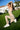 Seamless Sculpt Lift Legging — Biscotti Beige